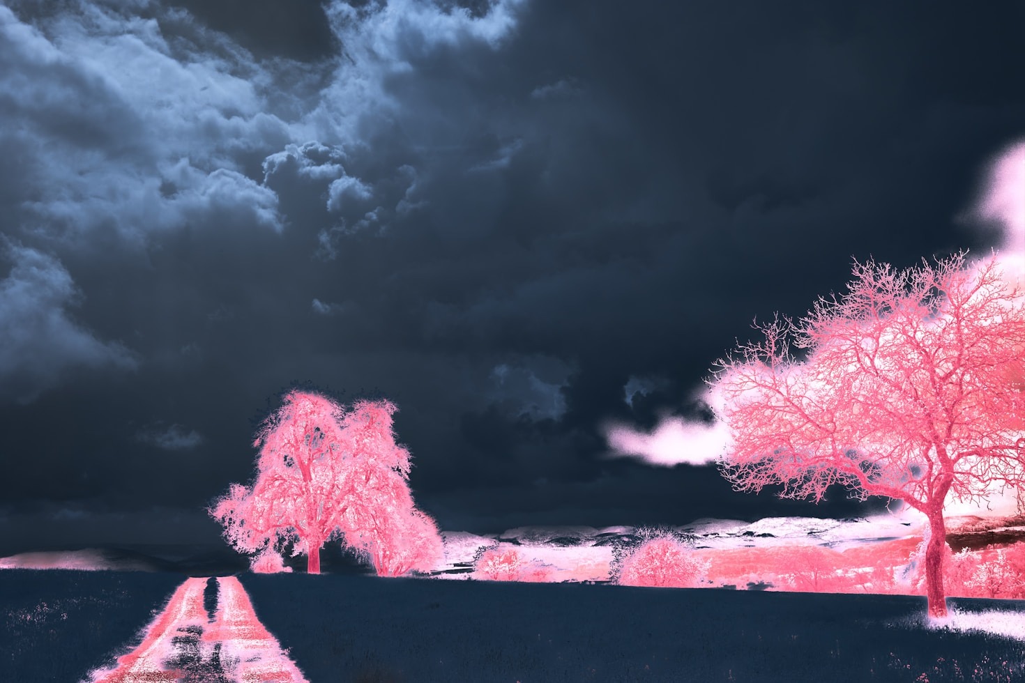 The Art of Naming Cities in RPG Worlds